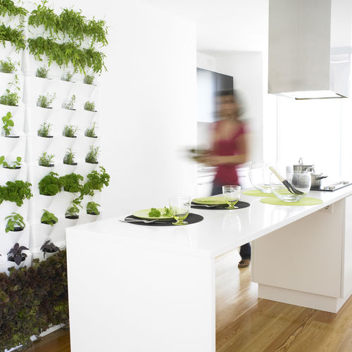 Giardino verticale di piante viventi - MINIGARDEN KITCHEN GARDEN - Minigarden (Quizcamp SA) - in pannelli modulari / da interno / da esterno