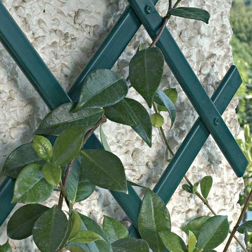 Graticolato per giardino verticale - TREPLAS - Tenax UK Ltd  - in PVC