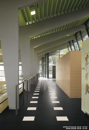 Piastrella in gres porcellanato - HI-TECH : COLOURSTYLE - CIPA GRES SPA - a rilievo / levigata / da interno
