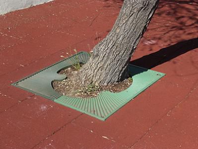 Griglia per alberi quadrata - TRES - Urbes 21 - in polietilene