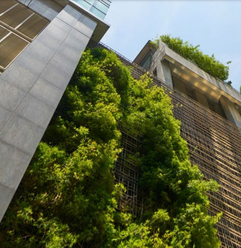 Parete vegetale di piante viventi - FOREST - GREEN WALL - POHL Metal Systems GmbH - stabilizzata / in pannelli modulari / naturale