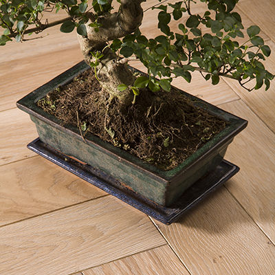 Parquet multistrato - 303 B - CHENE DE L EST  - massello / in rovere / a spina di pesce