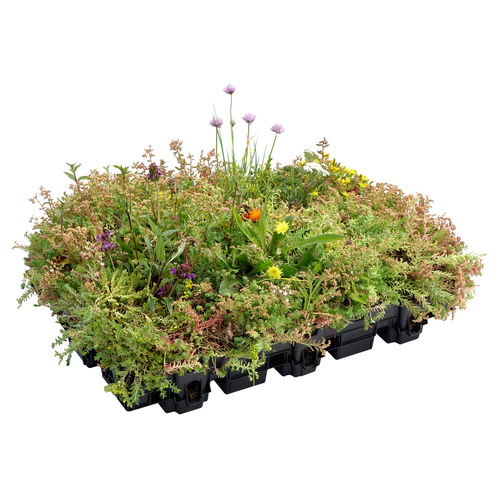 Kit per giardino pensile in polipropilene - HYDROPACK® - LE PRIEURE - estensivo