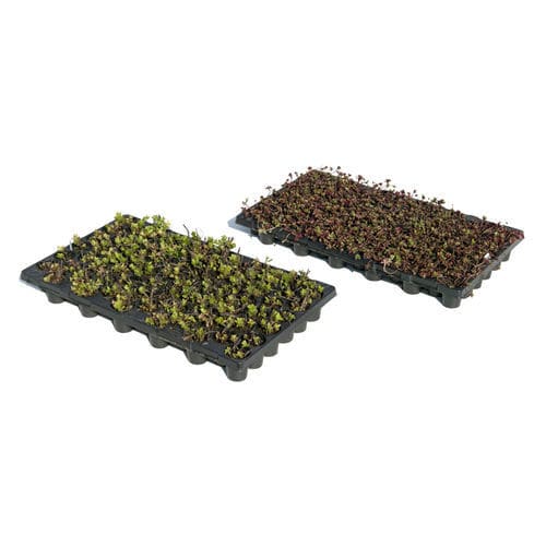 Kit per giardino pensile in plastica - I.D.® PLUG PLANTS   - LE PRIEURE - estensivo