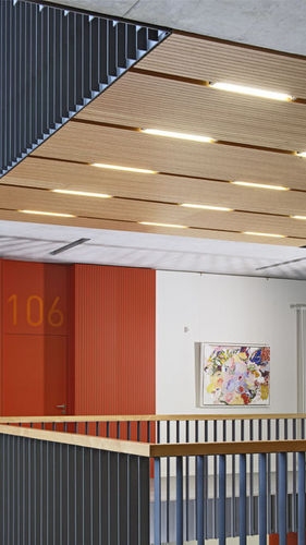 Pannello acustico per controsoffitto - DEWETON® - TAVAPAN SA - in legno / rettangolare / professionale