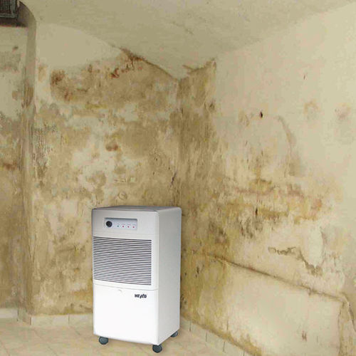 Deumidificatore mobile - DT 650 - Dantherm Group A/S - professionale