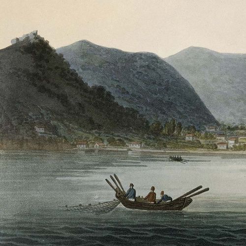 Carta da parati contemporanea - ISLAND OF ELBA - Papiers de Paris - con scene / aspetto carta da parati / verde