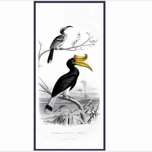 Carta da parati contemporanea - CAYENNE BIRDS /2 - Papiers de Paris - con animali / aspetto carta da parati / bianca