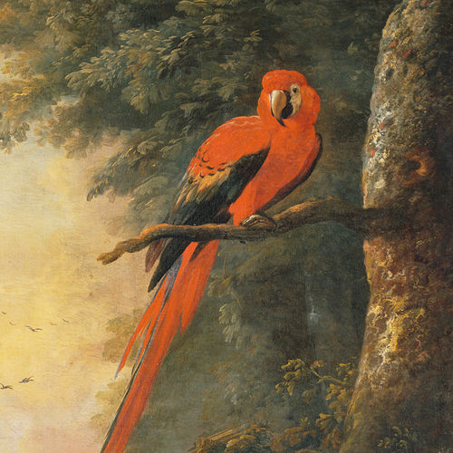 Carta da parati contemporanea - RED MACAW 1/2 - Papiers de Paris - con animali / aspetto carta da parati / multicolore