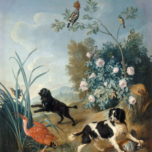 Carta da parati contemporanea - DOGS&BIRDS 1/4 - Papiers de Paris - con motivi naturali / con animali / aspetto carta da parati