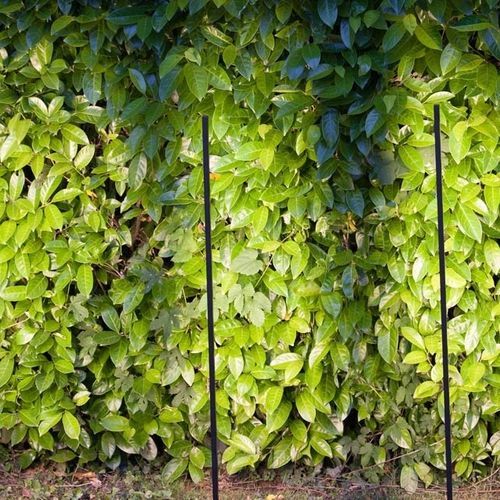 Lampioncino da giardino - ACORUS - Inverlight Srl - contemporaneo / in acciaio inossidabile / LED