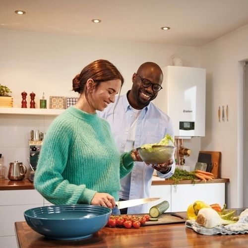 Caldaia a gas - ECOTEC PLUS - VAILLANT - unicamente per riscaldamento / da parete / residenziale