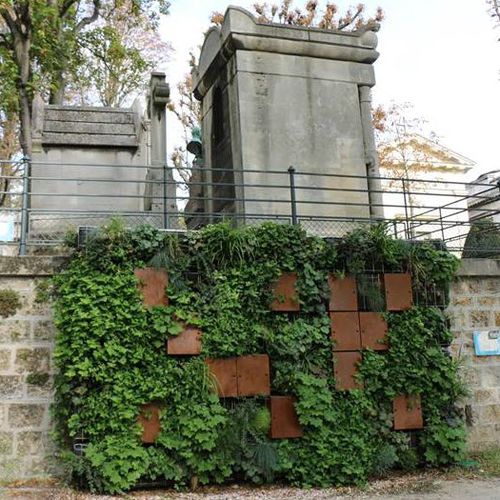 Parete vegetale da esterno - COLUMBARIUM - TRACER - con struttura modulare