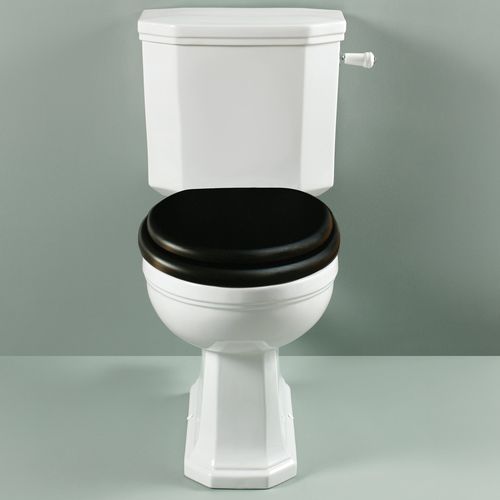 WC monoblocco - 240.09900 & 240.09960 - Aqua Prestige - in porcellana / per uso residenziale / contract