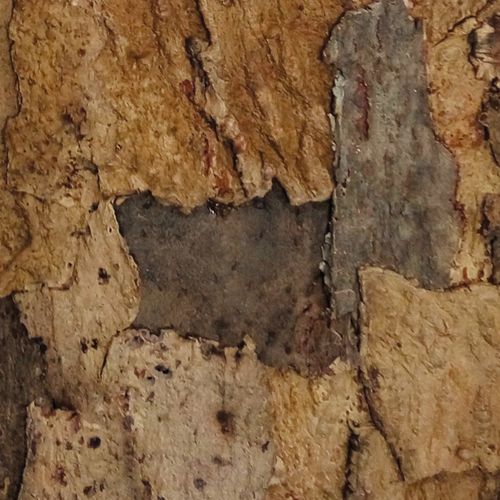 Pannello decorativo per muro - 071 00 SERIES - Granorte Revestimentos de Cortica, lda - in rovere / in sughero / aspetto piastrelle