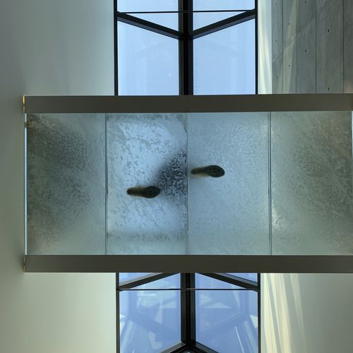 Pavimento in vetro - ThinkGlass - da interno / da esterno / per gradini