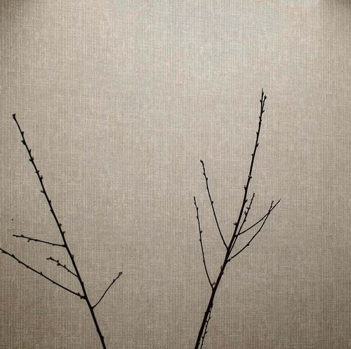 Carta da parati contemporanea - PICTURA : LINEE - Parato - in vinile / a tinta unita / aspetto tessuto