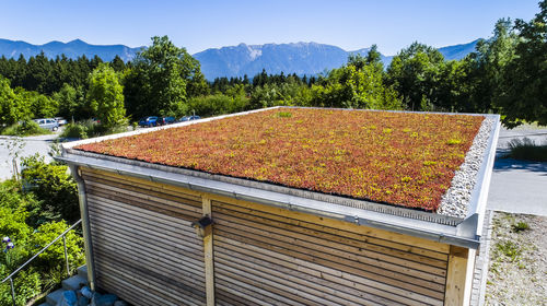 Sistema per giardino pensile estensivo - MobiRoof ECO - Mobilane - per tetto piano / a tenuta stagna / pendenza minore di 2%