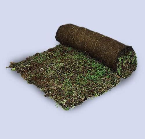Tappeto vegetale per tetto piano - ND - Nophadrain - precoltivato