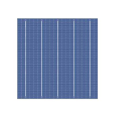 Cellula fotovoltaica tinta - 5BB POLY - Talesun Solar - policristallina