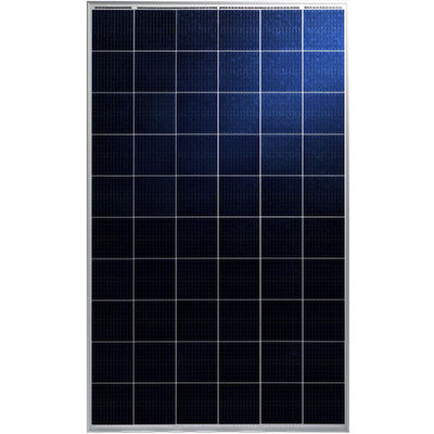 Pannello fotovoltaico policristallino - MIPRO III TP660P - Talesun Solar - colorato / PID free / con telaio in alluminio