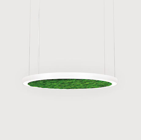 Luce a sospensione - RINGO STAR 60 - Lightnet GmbH  - LED / in altezza / per interni