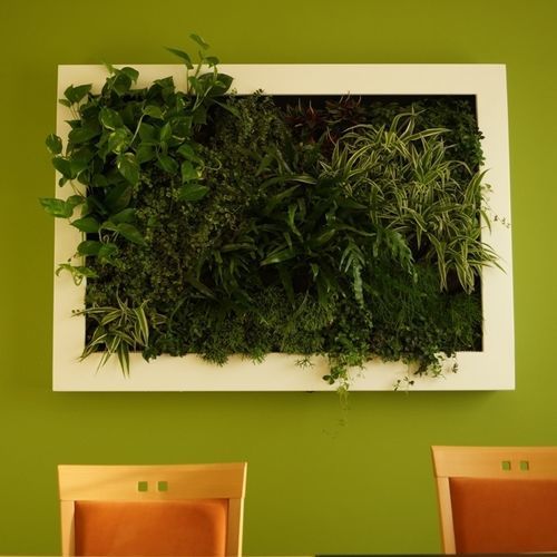 Parete vegetale slim - NATURAL CANVAS - Terapia Urbana - di piante viventi / in pannelli modulari / naturale