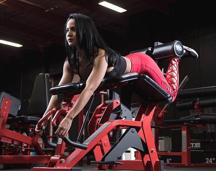 Attrezzo per bodybuilding curl gambe - FLY-213 - Foreman Fitness Europe GmbH - da interno