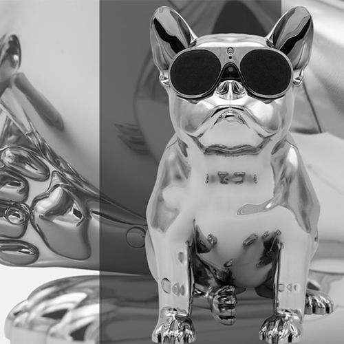 Altoparlante da terra - AEROBULL XS CHROME - JARRE - senza fili / Bluetooth / residenziale