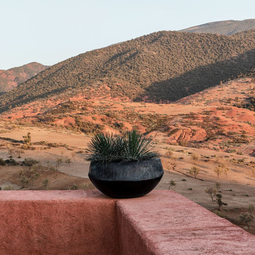 Fioriera in terracotta - ATLANTIS - DOMANI - rotonda / contemporanea / marrone