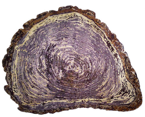 Tappeto contemporaneo - TREE TRUNK - Sonya Winner - a motivi / in lana / in seta