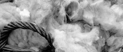 Isolante termo-acustico - ECOWOOL®  - ECOINSULATION - di origine animale / sfuso / per interni