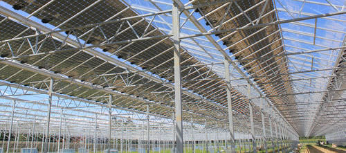 Pannello fotovoltaico policristallino - PVP-GREENHOUSE  - PVP - trasparente / per serra