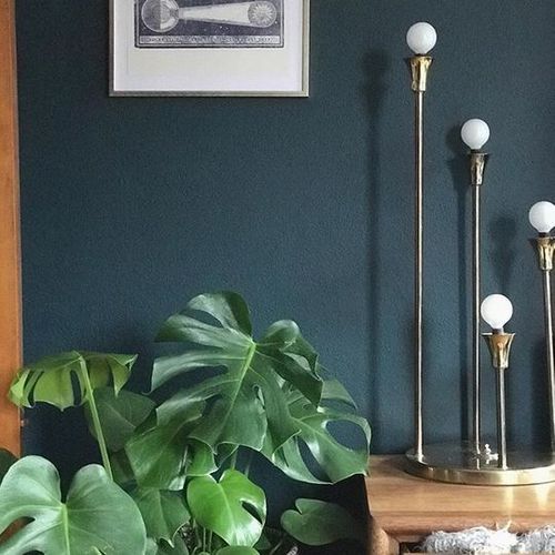 Pittura di fondo - PREMIUM PLUS®  - BEHR - indoor / per muro / a guscio d'uovo