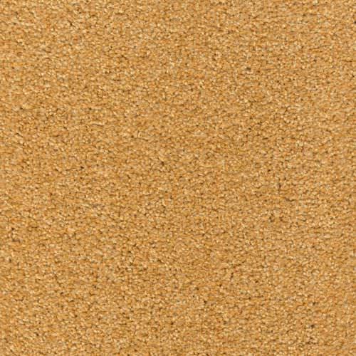 Moquette tufted - CARLTON - Anker-Teppichboden - in poliammide / in velluto / per il settore terziario