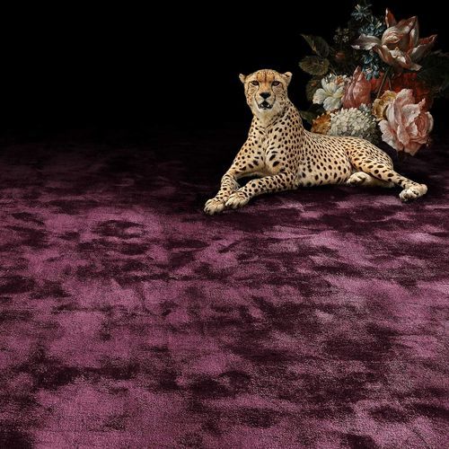 Moquette tufted - PURE WOOL 2600 - OBJECT CARPET - in velluto / in lana / per hotel