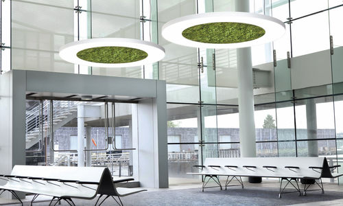 Lampada a sospensione - LUCE VERDE ANELLO - Sattler GmbH - in alluminio / contemporanea / con cavo