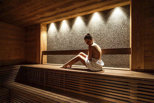 Sauna per uso residenziale - . - Hofer Group GmbH