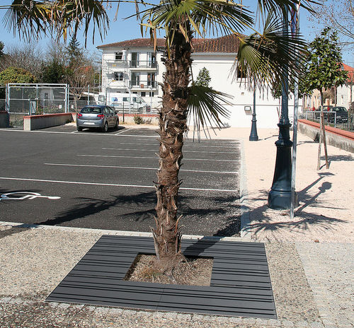 Griglia per alberi quadrata - AZTEC - ACCENTURBA - in acciaio galvanizzato / in acciaio termolaccato