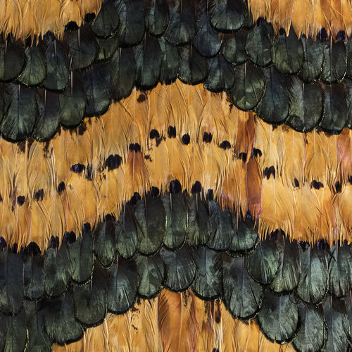 Rivestimento murale per interni - PEACOCK PHEASANT CARAMEL - KOKET Love Happens - in piume / per uso residenziale