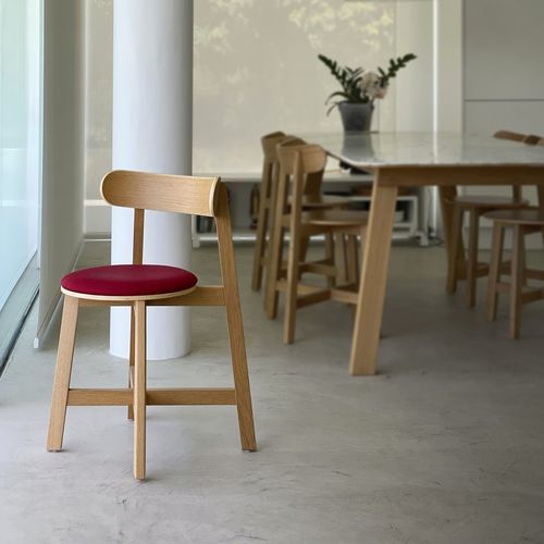 Sedia contemporanea - RODA - Branca-Lisboa - da interno / in rovere / in frassino