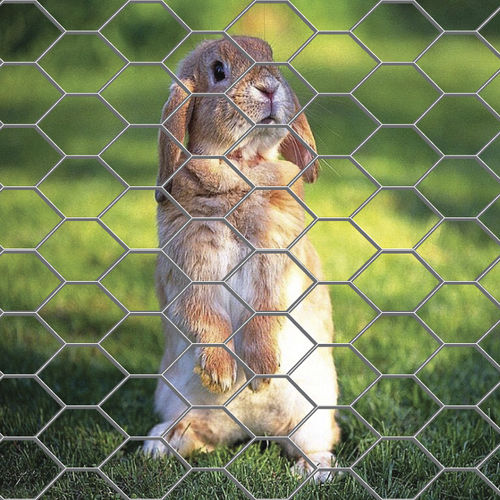 Recinzione in rete metallica - ESAGONA  - Ferro Bulloni - per recinto di animali / in acciaio galvanizzato / dritta