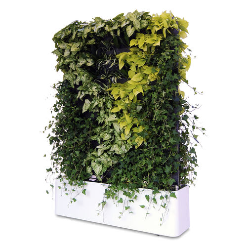 Parete vegetale di piante viventi - MOVING HEDGE - GREENWORKS SWEDEN - in pannelli modulari / naturale / da interno