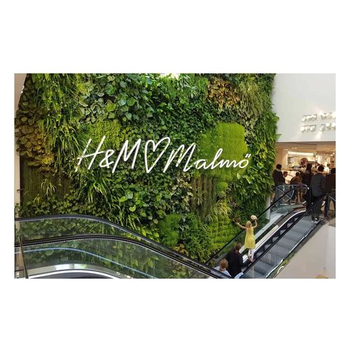 Giardino verticale di piante viventi - H&M AT GUSTAV ADOLFS TORG - GREENWORKS SWEDEN - su misura / naturale / da interno