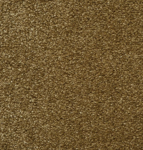 Moquette tufted - SOFT  2606 - VAN BESOUW - in poliammide / contract / a tinta unita