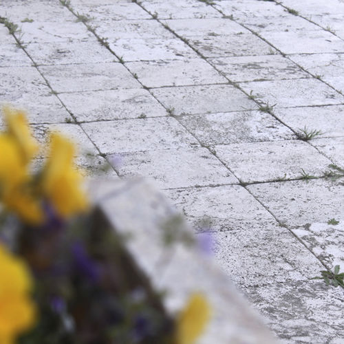 Pavimentazione in travertino - MOSAICO - Arredo di Pietra srl - in pietra naturale / da esterno / per ingresso