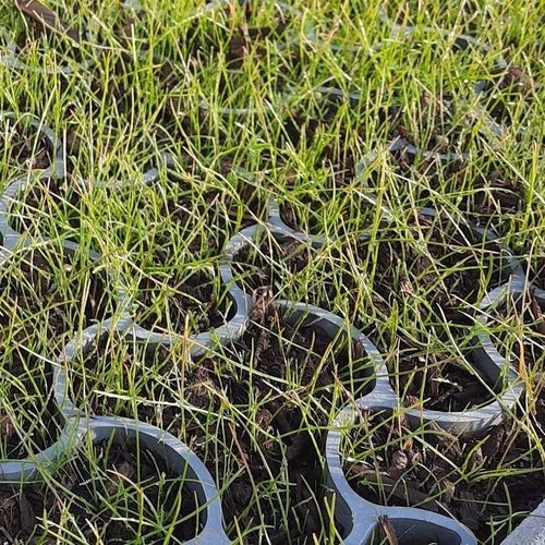 Griglia salvaprato in plastica riciclata - ECCODAL HD - ECCO PRODUCTS