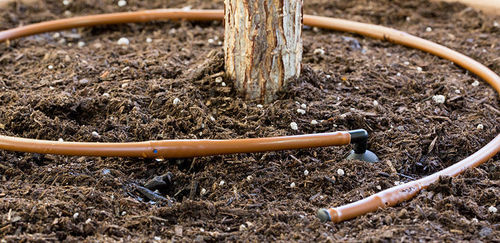 Tubo flessibile di irrigazione - MLD - Hunter Industries - in LDPE
