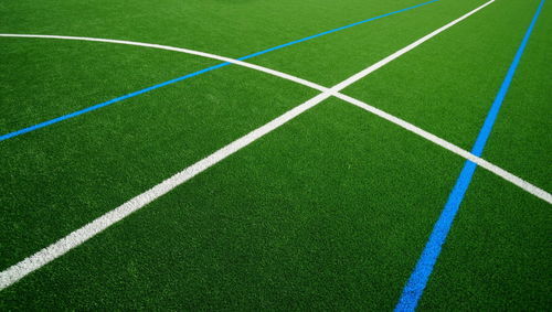 Prato naturale - PRO R - Polytan GmbH - in rotoli / per campo sportivo / multifunzione