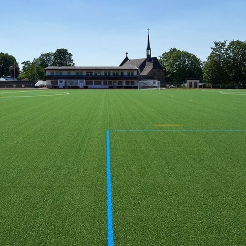 Prato naturale - SYNERGY R - Polytan GmbH - in rotoli / per campo sportivo